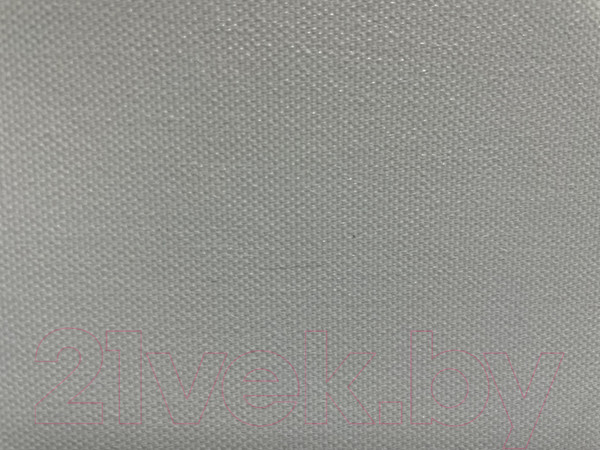 Изображение товара Холст для печати ProfiColor Canvas Cotton Glossy A4 360 г/м2 / BN05459 (10л)