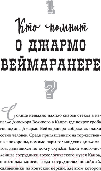 Изображение товара Книга АСТ Загадка черного золота (Гатти А., Баккаларио П.)