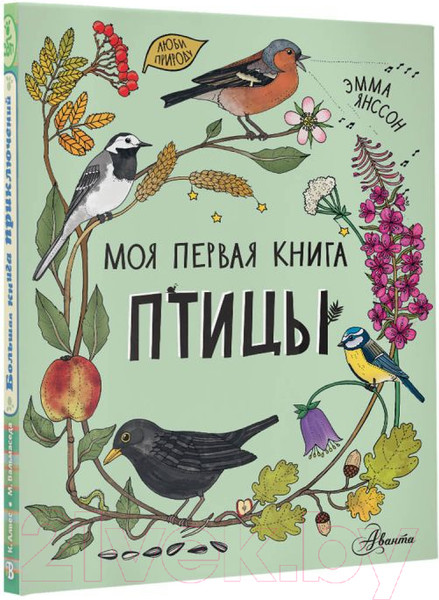 Изображение товара Энциклопедия АСТ Птицы (Янссон Э.)