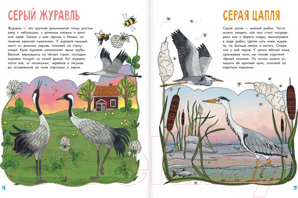 Изображение товара Энциклопедия АСТ Птицы (Янссон Э.)