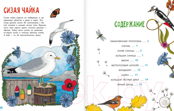 Изображение товара Энциклопедия АСТ Птицы (Янссон Э.)