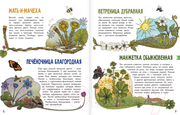 Изображение товара Энциклопедия АСТ Цветы и растения (Янссон Э.)