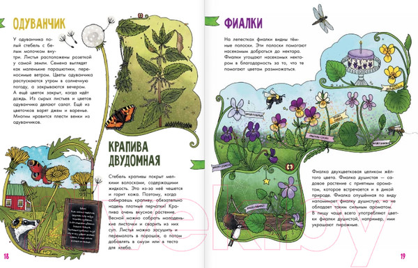 Изображение товара Энциклопедия АСТ Цветы и растения (Янссон Э.)