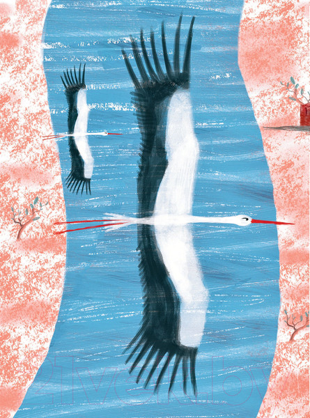 Изображение товара Книга АСТ Сказки Гауфа (Гауф В.)