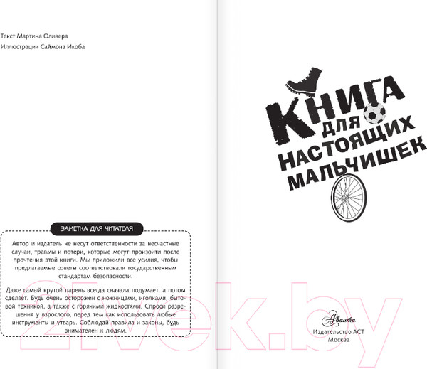 Изображение товара Энциклопедия АСТ Книга для настоящих мальчишек (Джонсон А.)