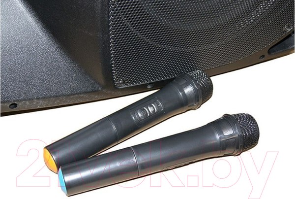 Изображение товара Сценический монитор Leem PR-12HR