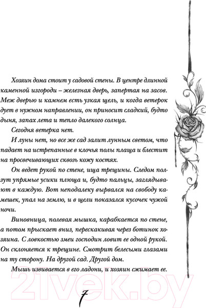 Изображение товара Книга Эксмо Галлант (Шваб В.)