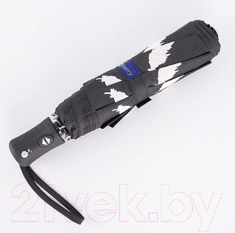 Изображение товара Зонт складной Rain Berry 734-7344 (черный)