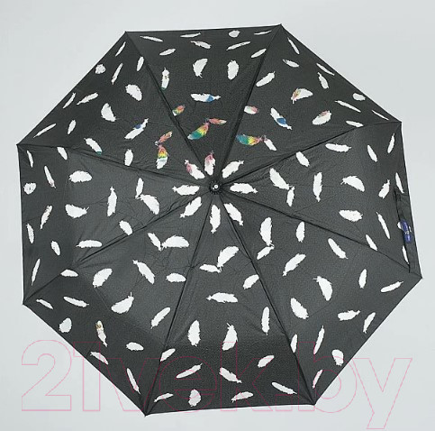 Изображение товара Зонт складной Rain Berry 734-7344 (черный)