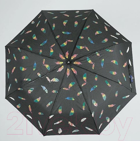 Изображение товара Зонт складной Rain Berry 734-7344 (черный)