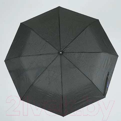 Изображение товара Зонт складной Rain Berry 734-7368-BLK (черный)