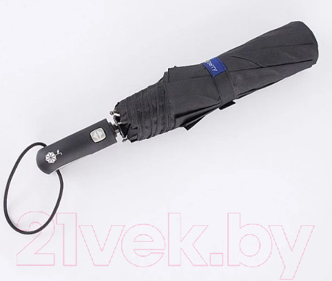 Изображение товара Зонт складной Rain Berry 734-7371 (черный)