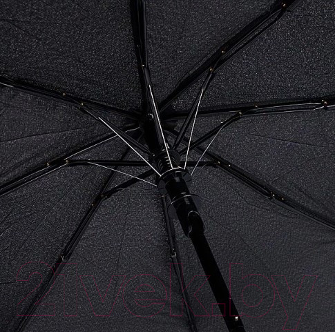 Изображение товара Зонт складной Rain Berry 734-SRM015