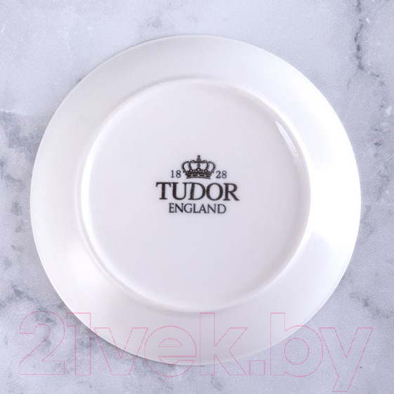 Изображение товара Тарелка закусочная (десертная) Tudor England TU2204