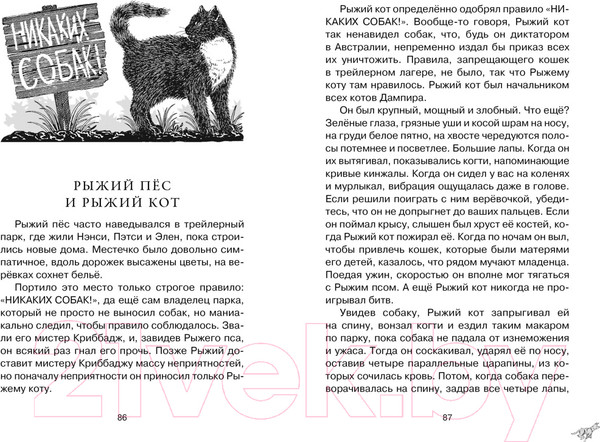 Изображение товара Книга Махаон Рыжий пёс (Берньер Л. де)