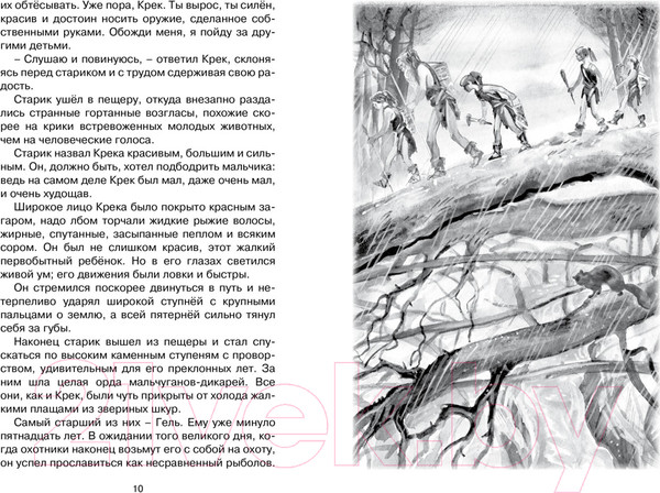 Изображение товара Книга Махаон Приключения доисторического мальчика (Д’Эрвильи Э.)