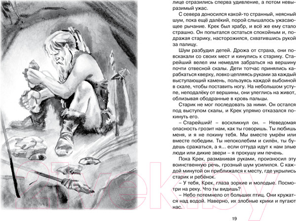 Изображение товара Книга Махаон Приключения доисторического мальчика (Д’Эрвильи Э.)