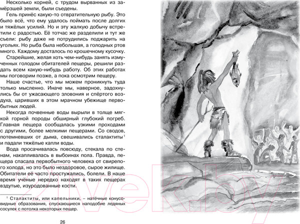 Изображение товара Книга Махаон Приключения доисторического мальчика (Д’Эрвильи Э.)