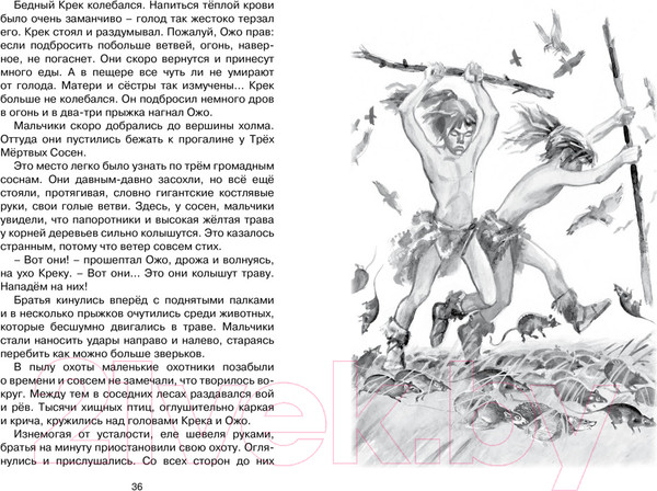 Изображение товара Книга Махаон Приключения доисторического мальчика (Д’Эрвильи Э.)