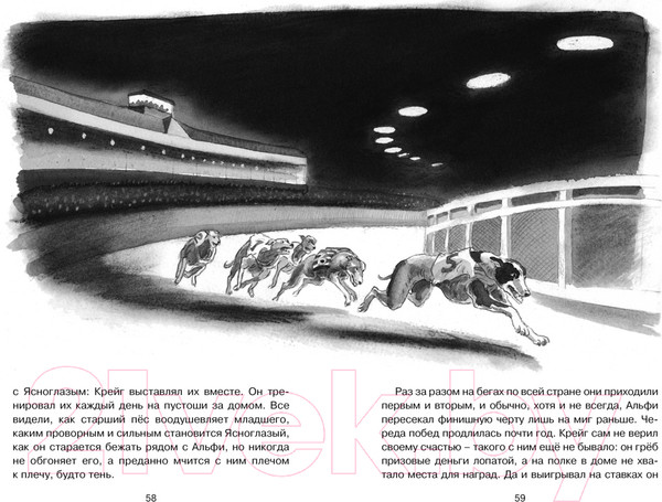 Изображение товара Книга Махаон Рожденный бежать (Морпурго М.)
