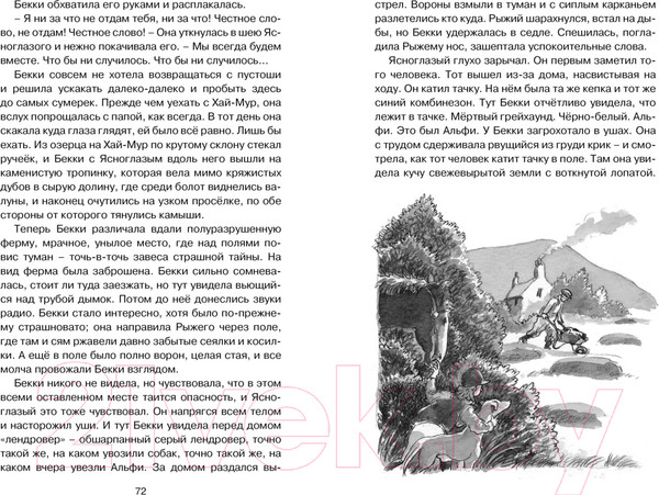 Изображение товара Книга Махаон Рожденный бежать (Морпурго М.)