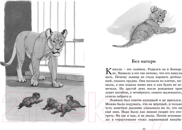 Изображение товара Книга Махаон Фомка - белый медвежонок (Чаплина В.)