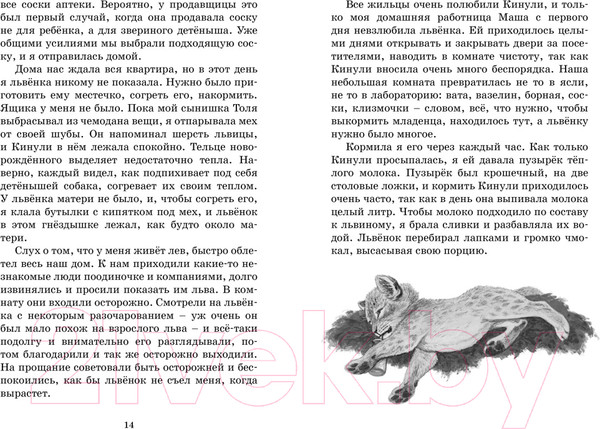 Изображение товара Книга Махаон Фомка - белый медвежонок (Чаплина В.)