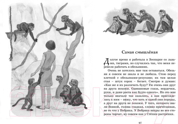 Изображение товара Книга Махаон Фомка - белый медвежонок (Чаплина В.)