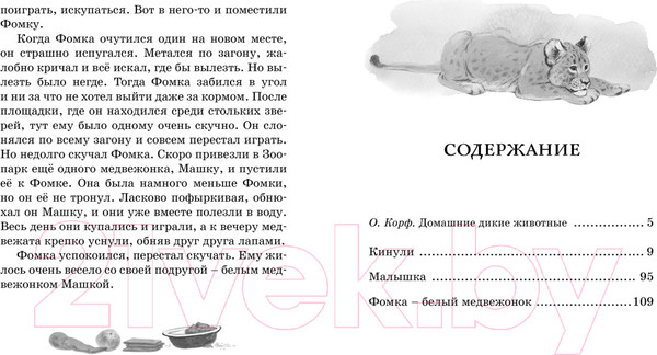 Изображение товара Книга Махаон Фомка - белый медвежонок (Чаплина В.)