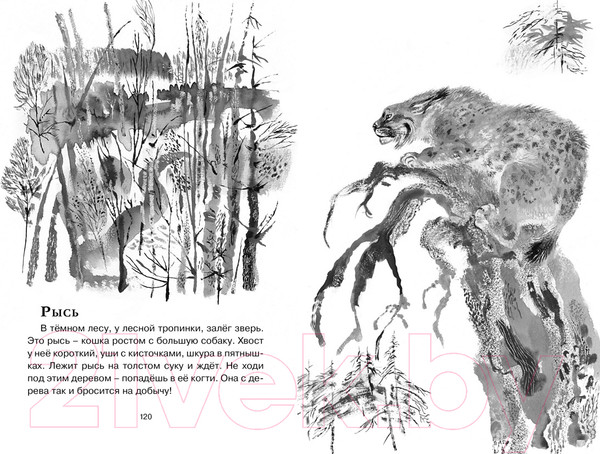 Изображение товара Книга Махаон Друзья (Чарушин Е.)