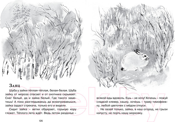 Изображение товара Книга Махаон Друзья (Чарушин Е.)