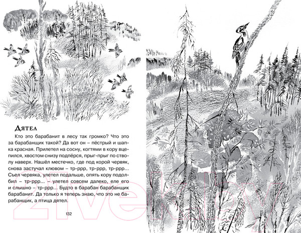 Изображение товара Книга Махаон Друзья (Чарушин Е.)