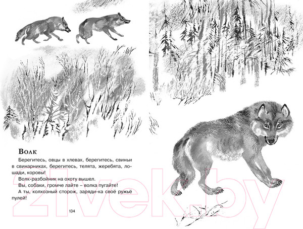 Изображение товара Книга Махаон Друзья (Чарушин Е.)