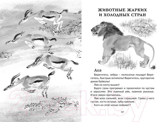 Изображение товара Книга Махаон Друзья (Чарушин Е.)