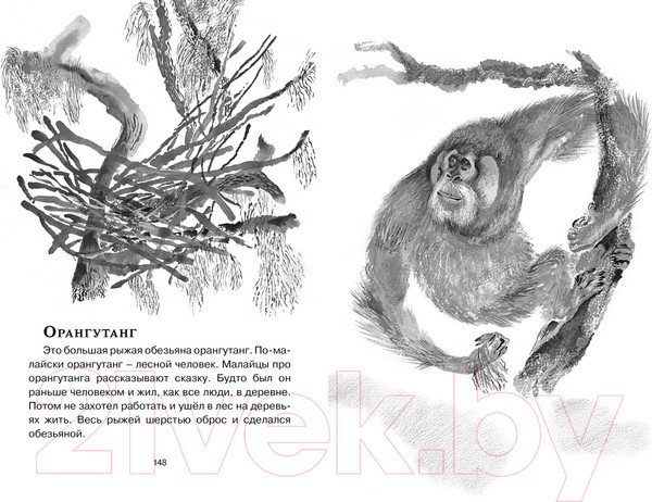 Изображение товара Книга Махаон Друзья (Чарушин Е.)