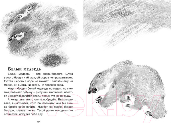 Изображение товара Книга Махаон Друзья (Чарушин Е.)