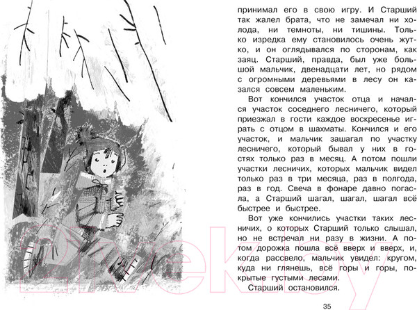 Изображение товара Книга Махаон Сказка о потерянном времени (Шварц Е.)