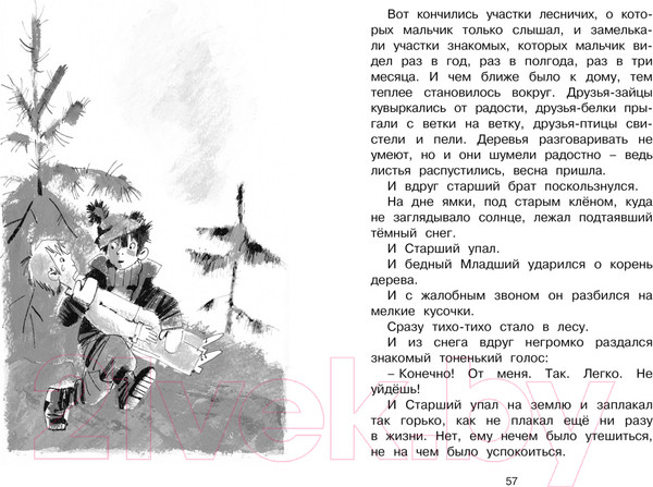 Изображение товара Книга Махаон Сказка о потерянном времени (Шварц Е.)