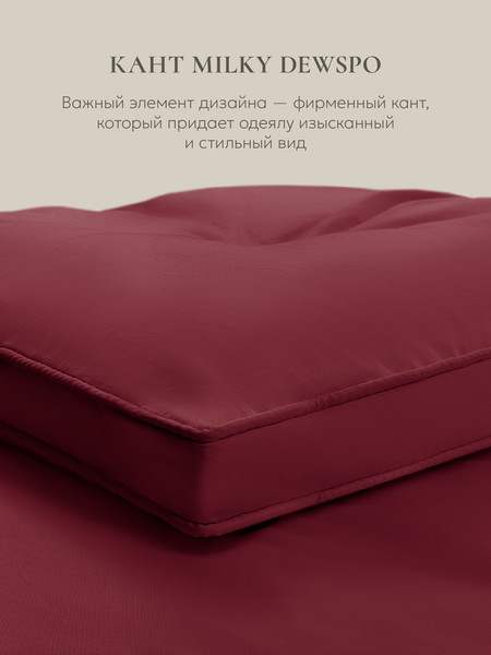 Изображение товара Одеяло Espera Cloud Wine / ЕС-5827 (175x200)