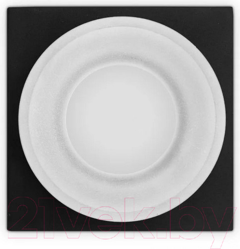 Изображение товара Точечный светильник Ambrella TN1316 SBK/FR (черный песок/белый матовый)