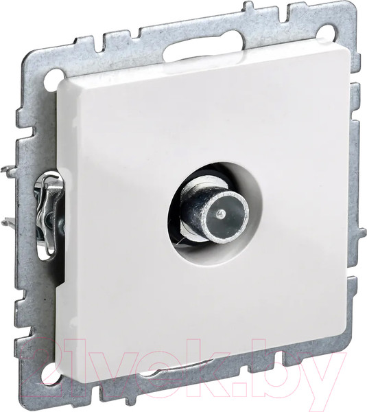 Изображение товара Розетка IEK Brite BR-A10-P-K01 (белый)