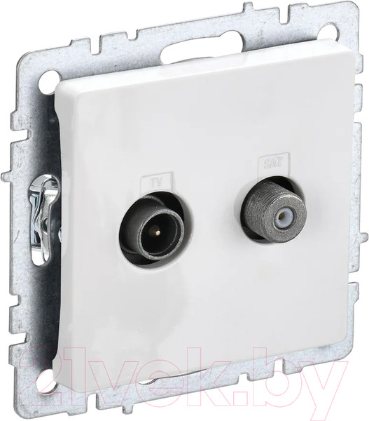 Изображение товара Розетка IEK Brite BR-AF20-O-K01 (белый)