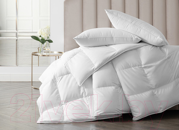 Изображение товара Одеяло Даргез Женева / 223138 (140x205)