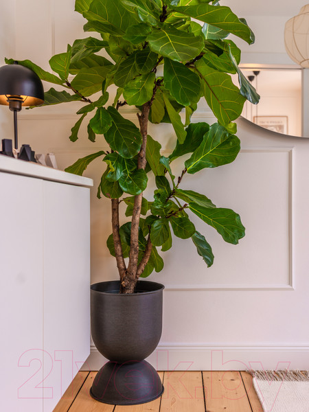 Изображение товара Молдинг Noel & Marquet HMС Wallstyl WL1