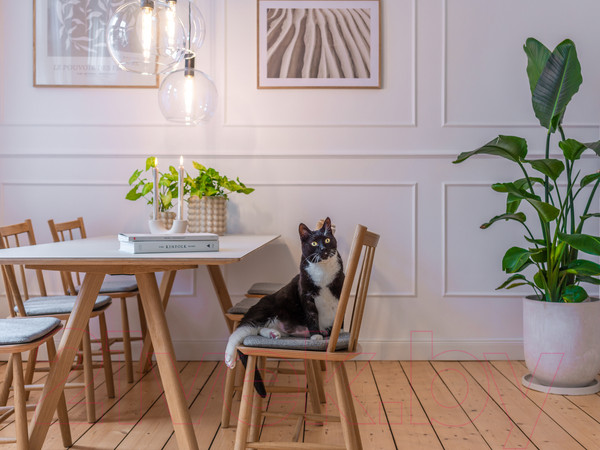 Изображение товара Молдинг Noel & Marquet HMС Wallstyl WL1
