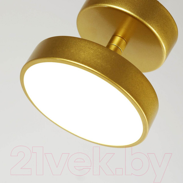 Изображение товара Потолочный светильник FAVOURITE 3059-1P