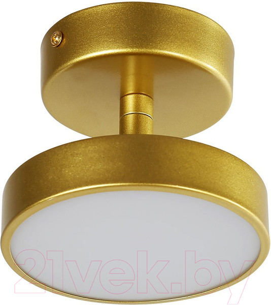 Изображение товара Потолочный светильник FAVOURITE 3059-1P