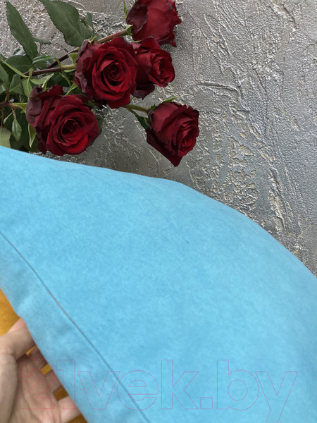 Изображение товара Наволочка декоративная Ника Зварико 7774545 45x45 (мятно-голубой/голубой, 12482)