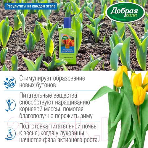 Изображение товара Удобрение Добрая сила Для луковичных DS21010351 (250мл)