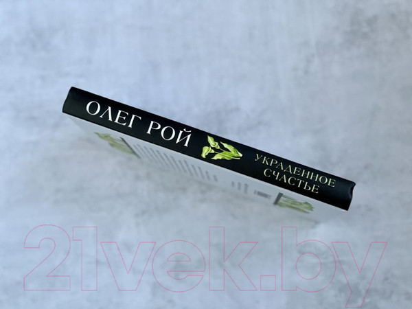 Изображение товара Книга Эксмо Украденное счастье (Рой О.)